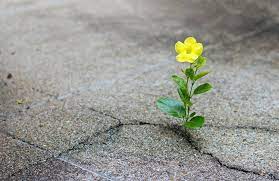 KEEP YOUR HOPE ALIVE – MARCH 2022 NEWSLETTER