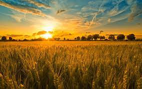 SONGS OF HARVEST – NOVEMBER NEWSLETTER